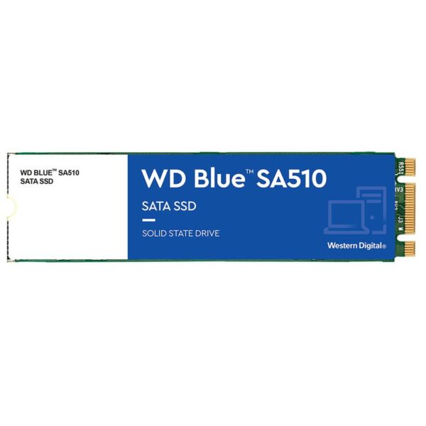 HD  SSD 1TB WESTERN DIGITAL M.2 2280 SA510 BLUE WDS100T3B0B